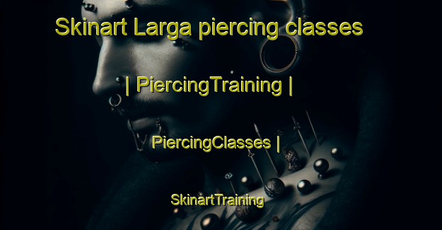 Skinart Larga piercing classes | PiercingTraining | PiercingClasses | SkinartTraining-Russian Federation